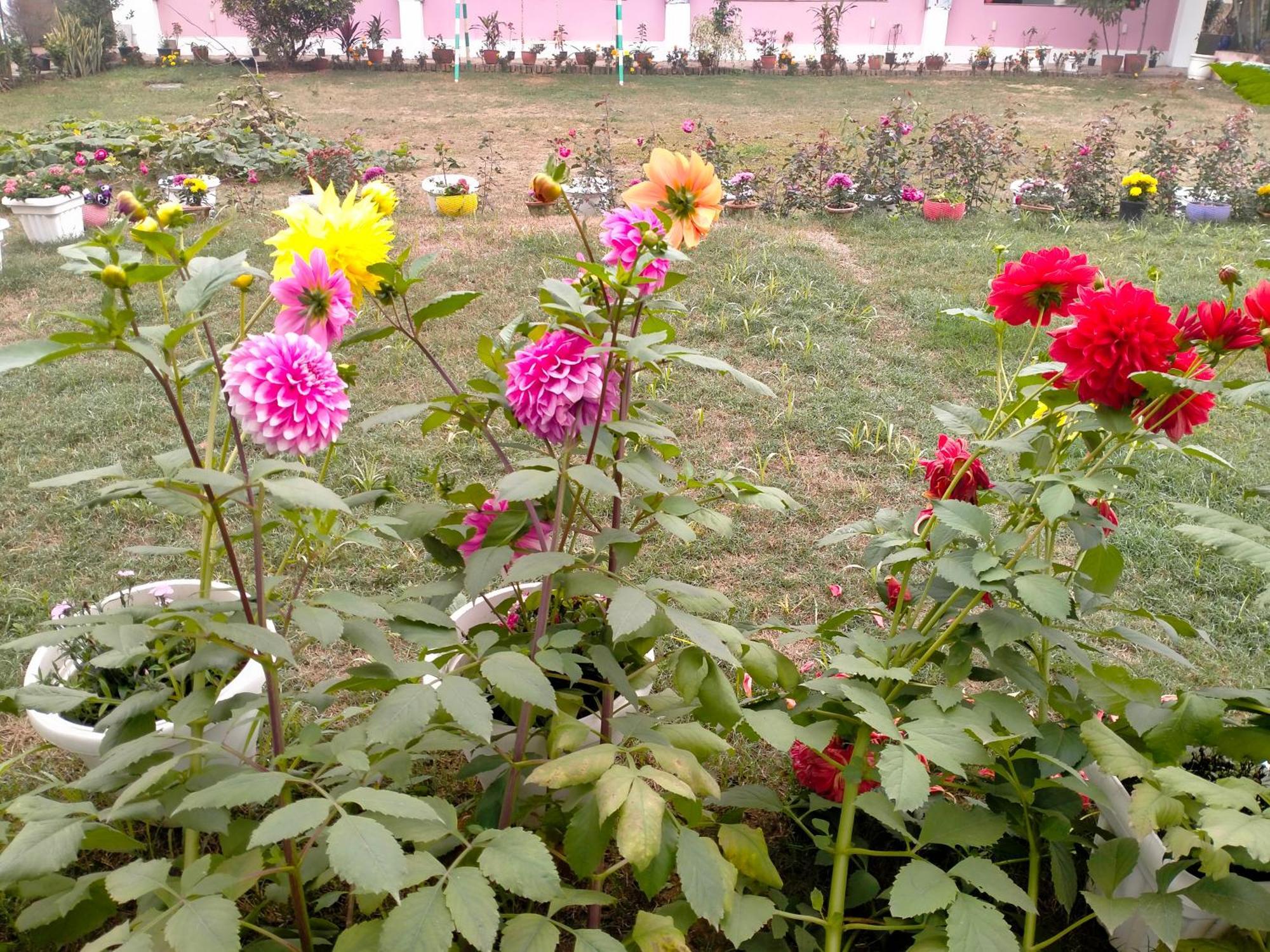 Vedic Villa พาราณสี ภายนอก รูปภาพ